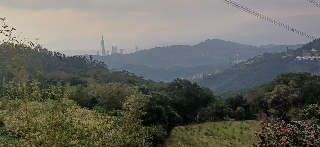 樟樹步道.台北文山封面圖