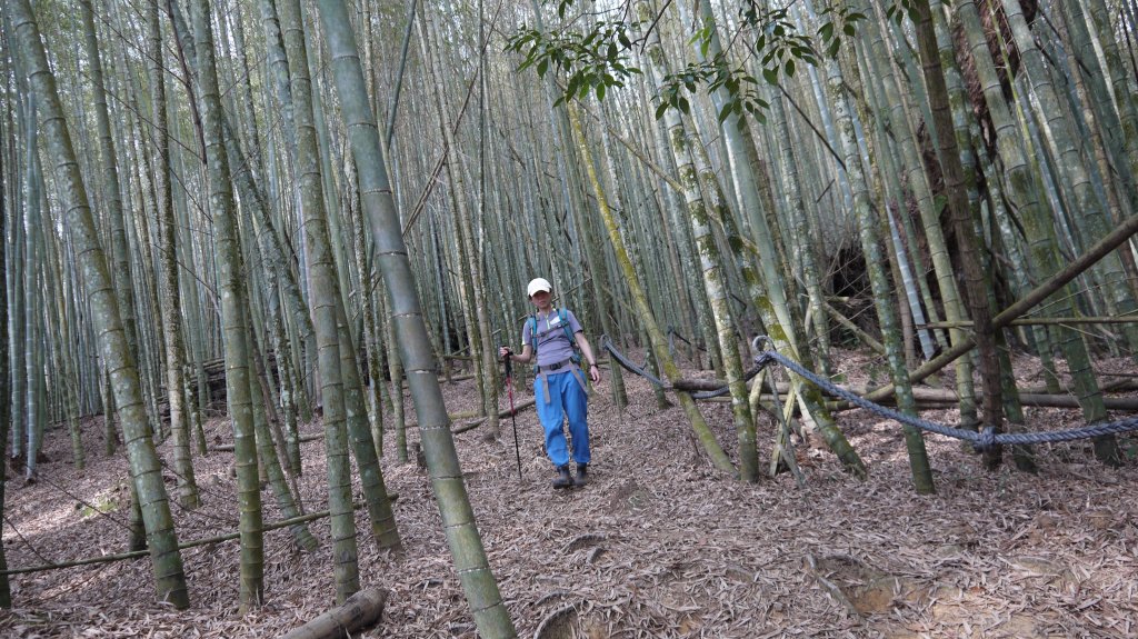 水社大山登山健行趣(中級山)_1511016