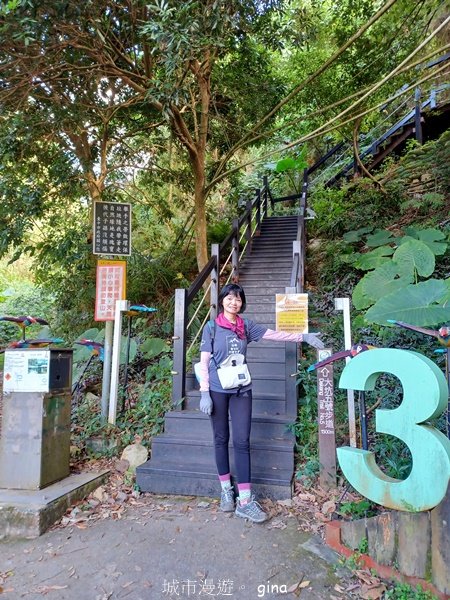 【台中北屯】第一次遇上大坑步道群起霧。 大坑三號步道_2695123