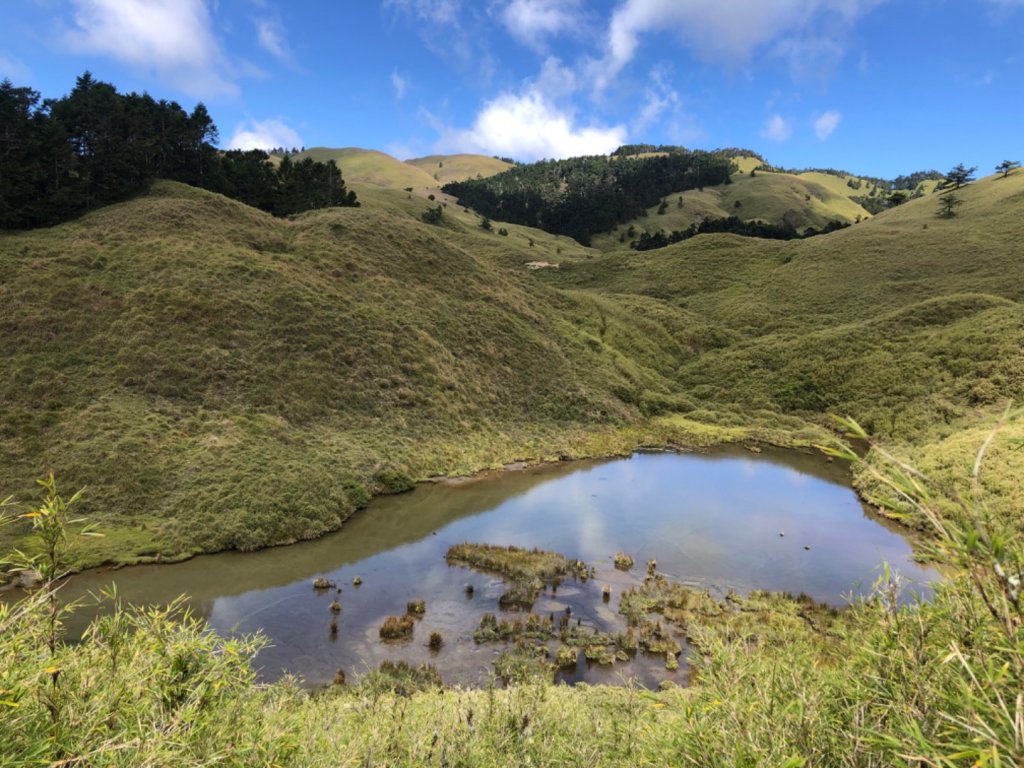 水鹿天堂-能高安東軍蹤走_739869