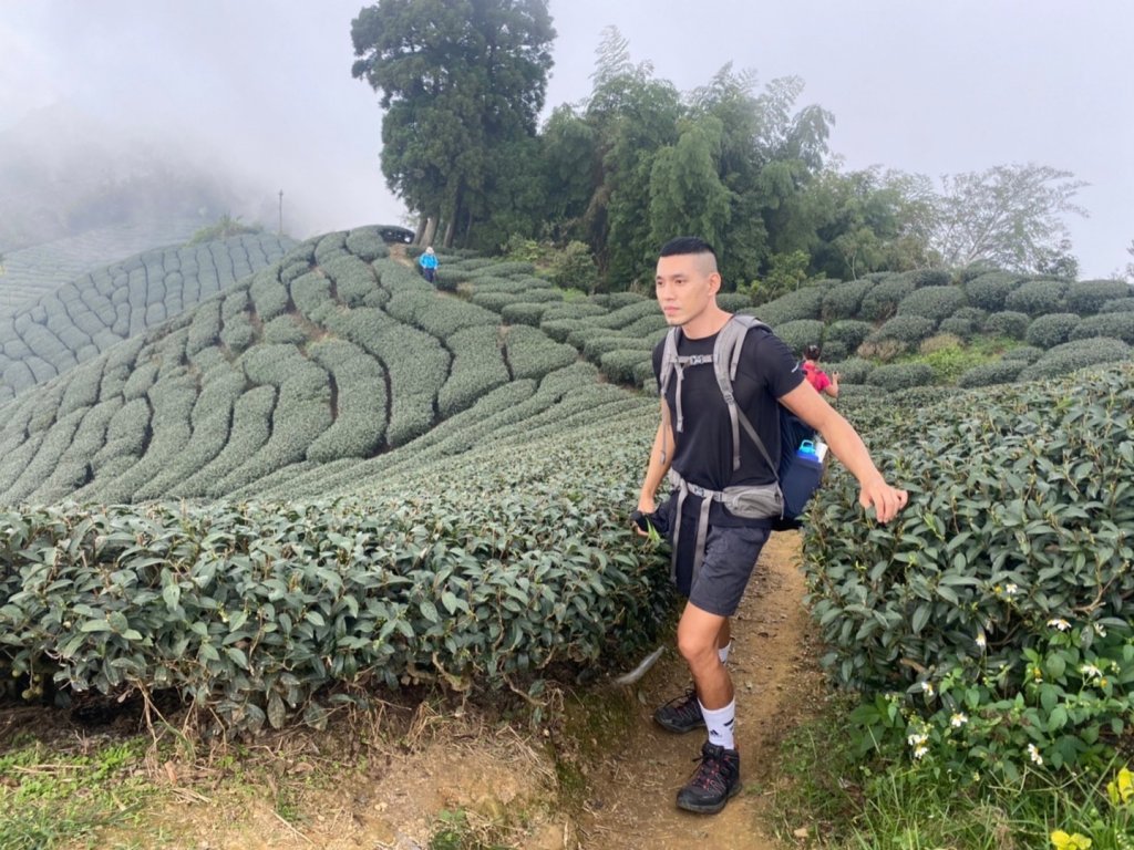 嘉雲南七連峰二尖山丶大尖山、馬鞍山、梨子腳山丶太平山、大巃頂西北峰、大巃頂_1866601