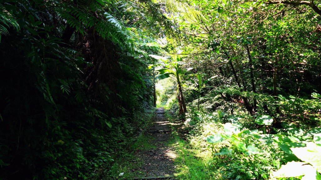 土庫岳_2531937