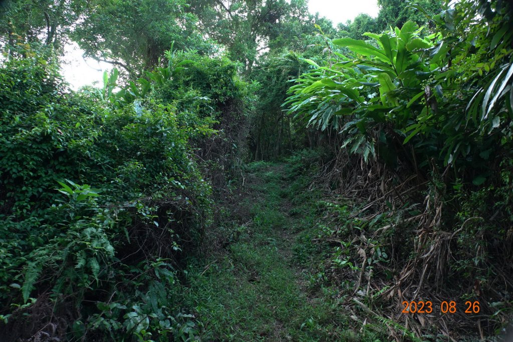 基隆 頂寮山、龍門山、五分山、頂子寮山_2265921