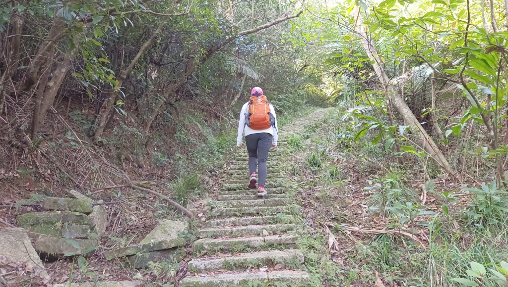 (姨婆趴趴走)第四十八集:新北草嶺古道（福隆車站-大里車站）_2747628