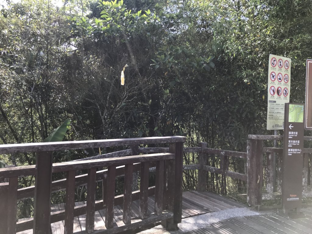 110年5月2日嘉義    青年嶺&雲潭步道_1456667