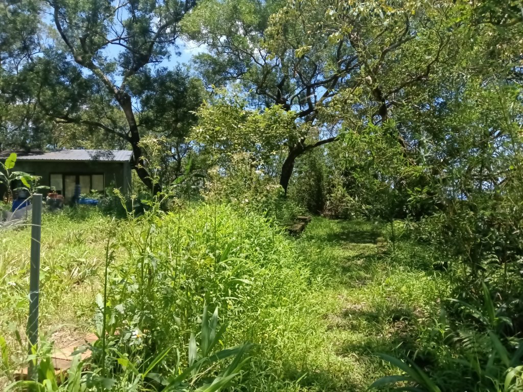 貢寮區文秀坑古道+觀日嶺步道O型_2809205