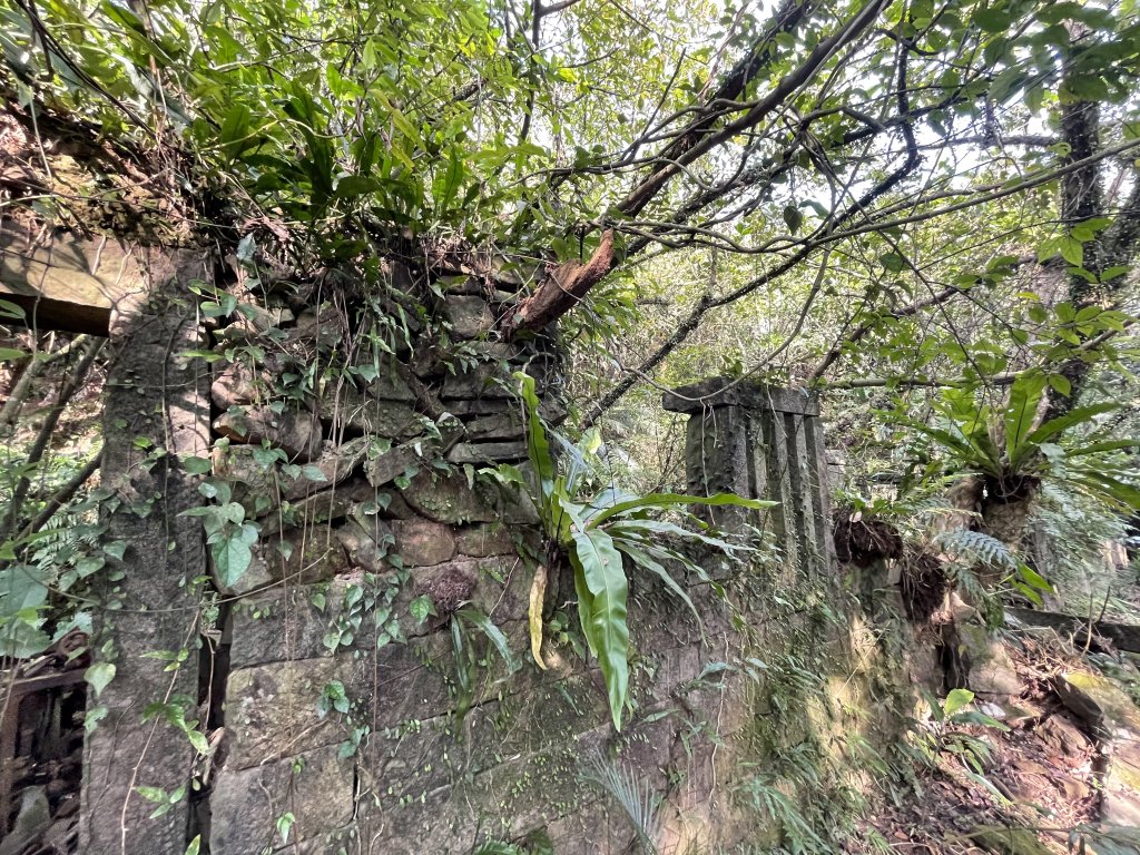 貢寮大嶺古道登桃源谷 淡蘭古道_1956216