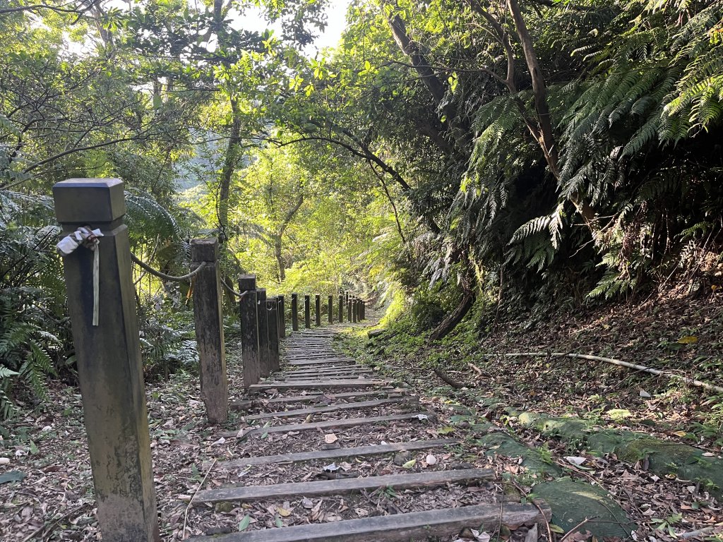 [山頂鳥40周年會員大縱走-08/15] 2024_0715 銀河洞越嶺登山步道_2556765