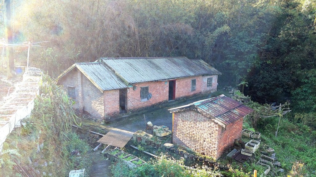 新店小粗坑赤蘆古道越嶺O型封面圖