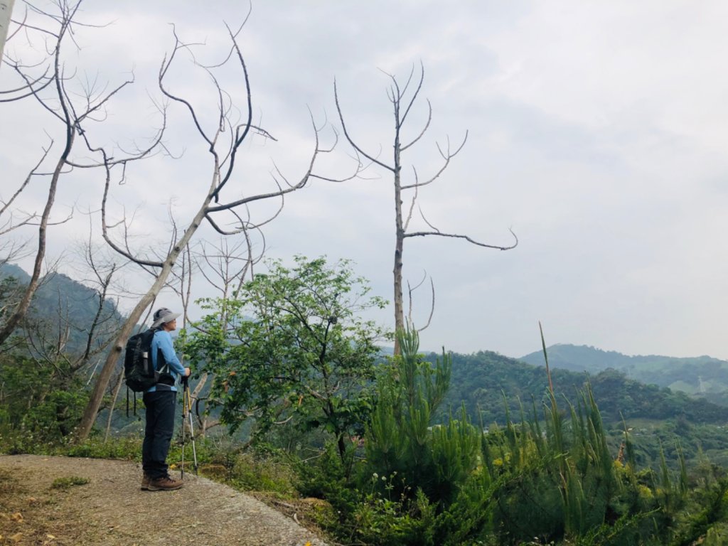 1090411大克山_913874