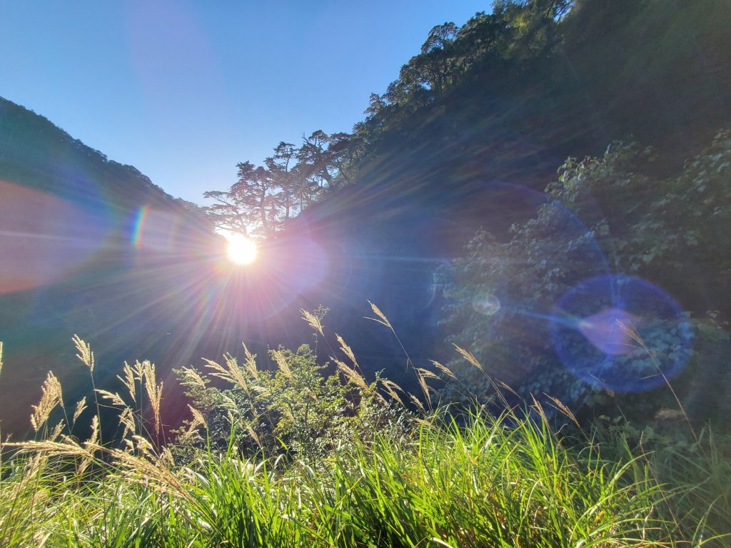 阿興阿賢合歡溪步道上合歡西峰_1491112