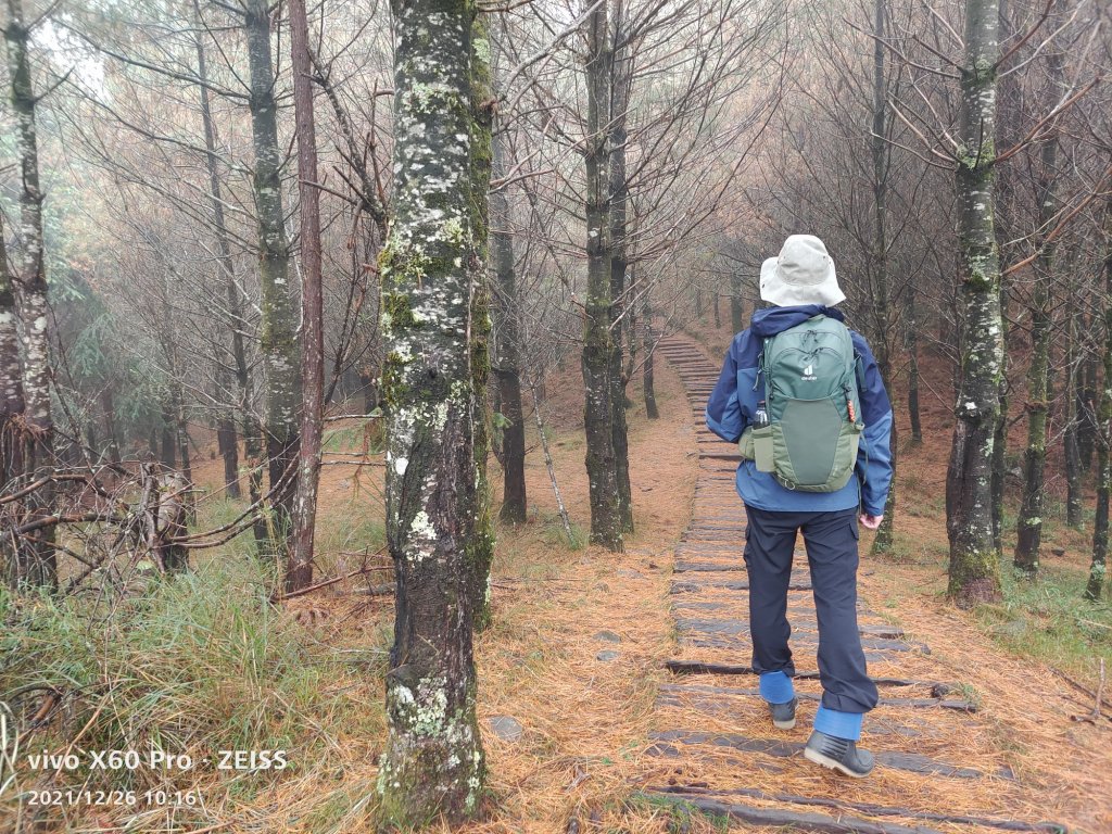 20211226中之關_1618302