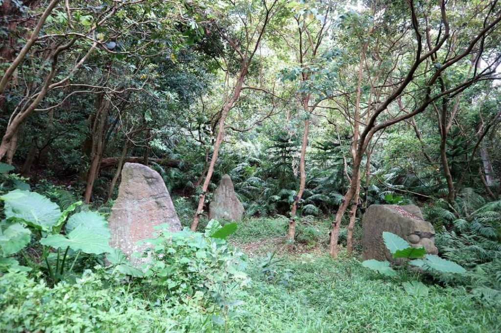 〔內湖〕文間山，劍南蝶園，劍潭古寺，婆婆橋 鄭成功廟步道_2249296