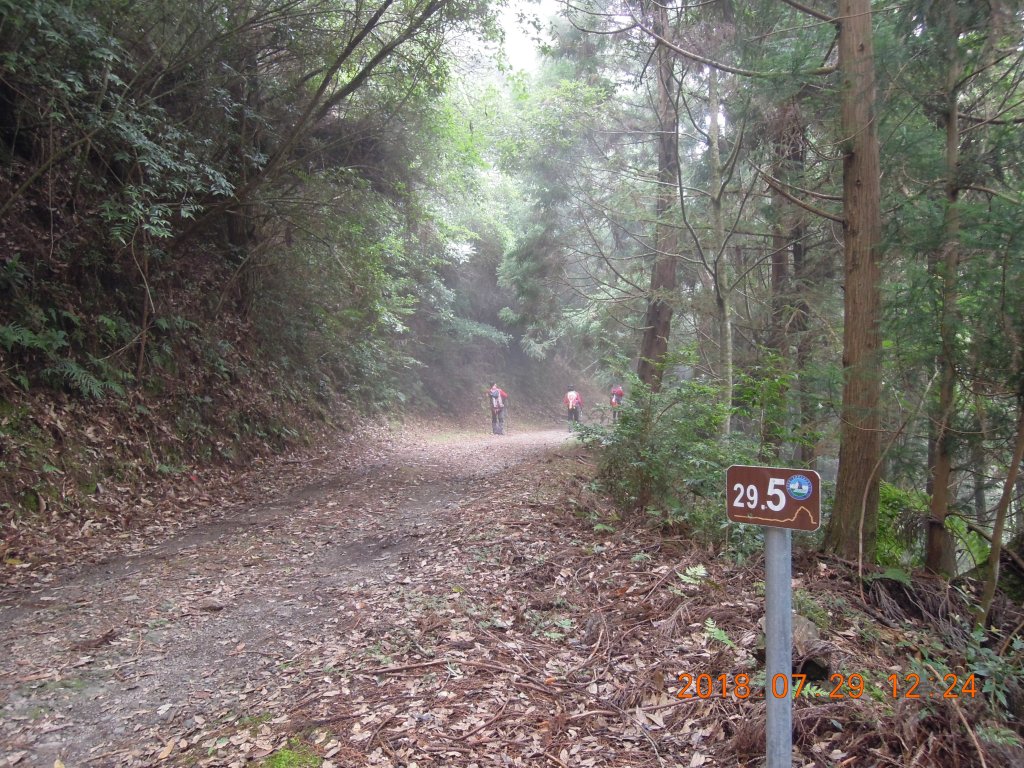 20180729_東洗水山_851860