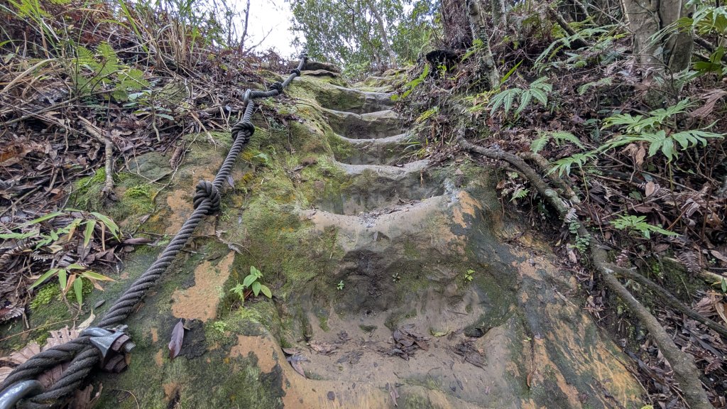 114.12.14黃帝殿西峰-天王峰-黃帝殿東峰之旅_2962055