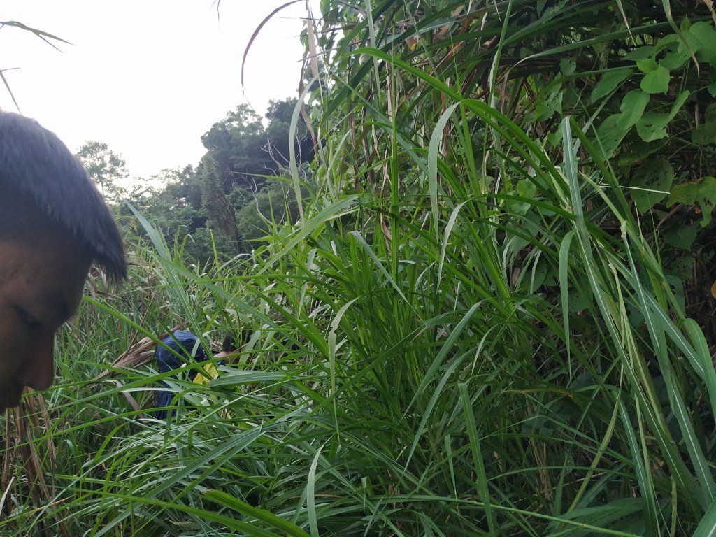 樟之細路主線踏查｜Day 9_755203