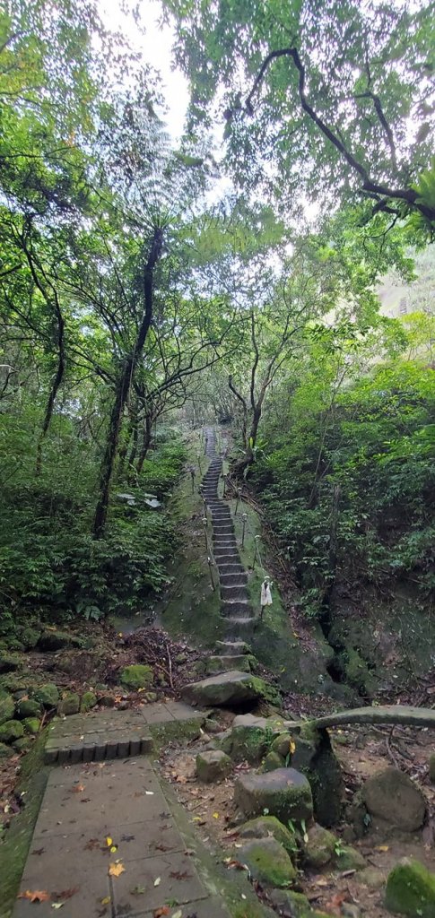 2021-11-06-新北市平溪-孝子山_1510115