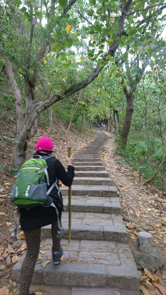 大肚萬里長城步道_305218