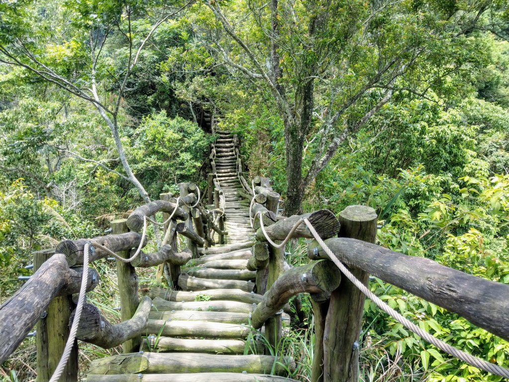 頭嵙山(小百岳#41)大坑4,5,1步道_1003684