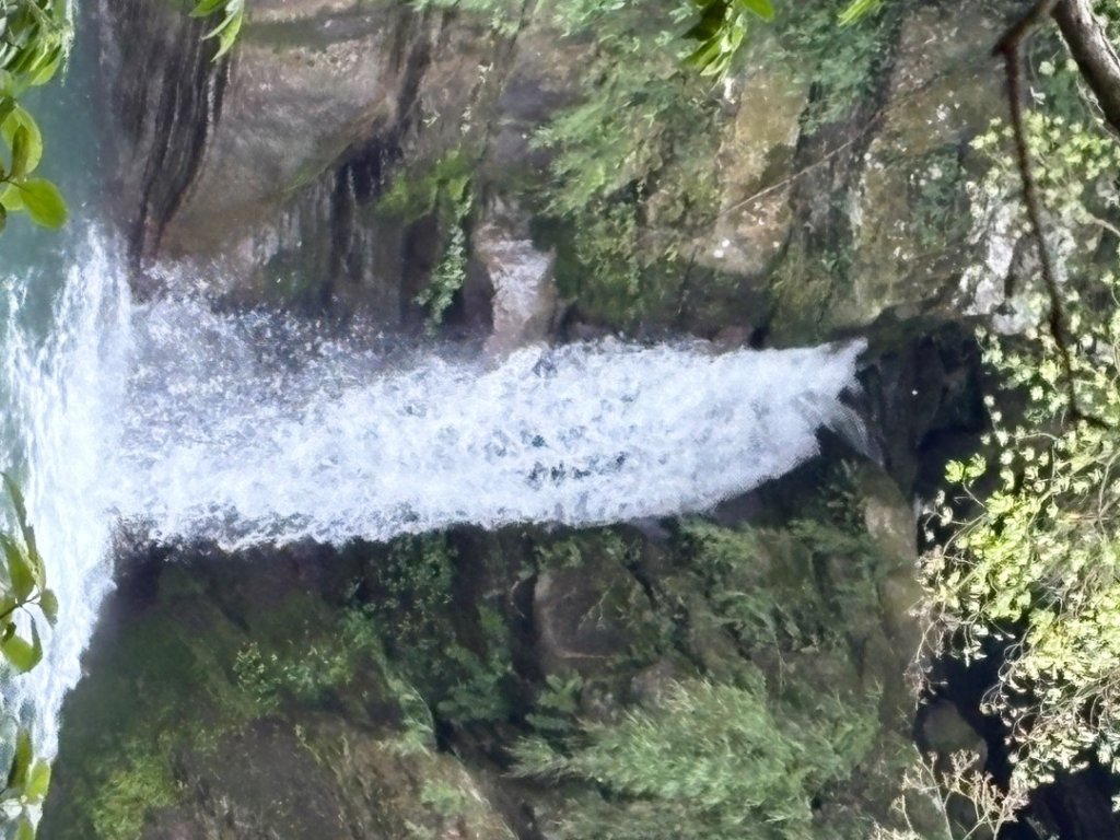 戲水（耘雲姊封面圖