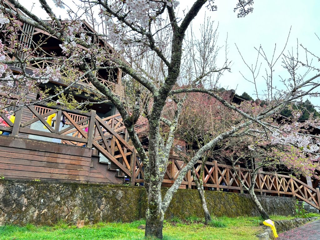 2023尋訪消失的眠月線聚焦失落沉寂的百年鐵道之旅_2110564