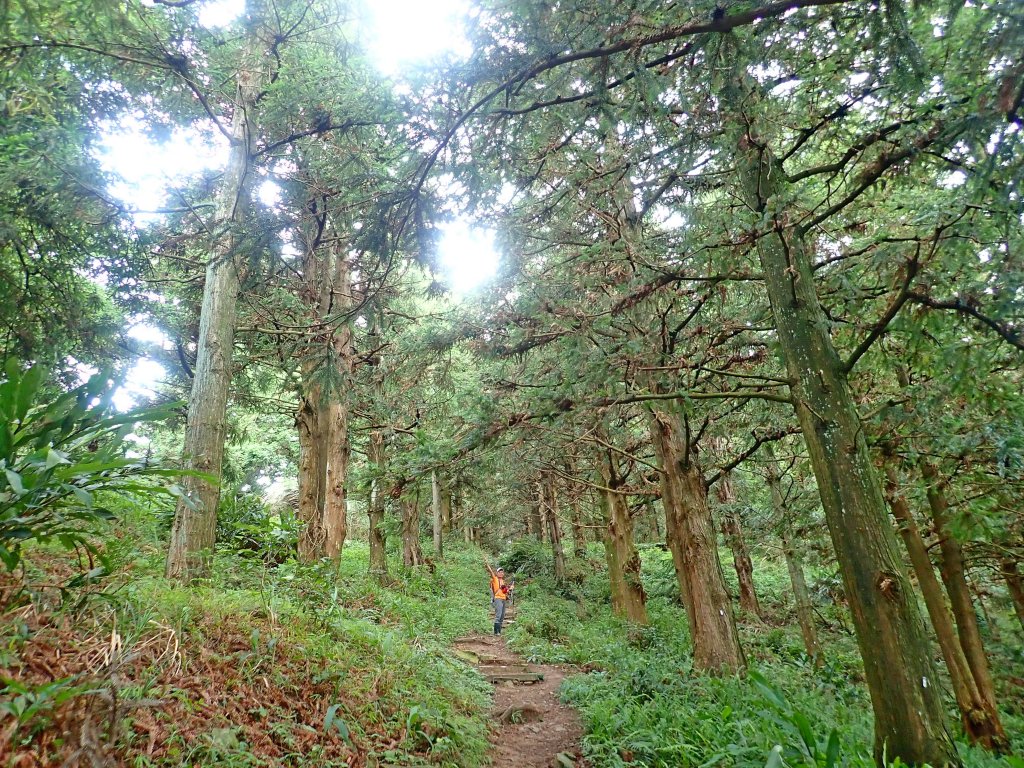 大雪山大崠山避暑趣2019/7/21_634420