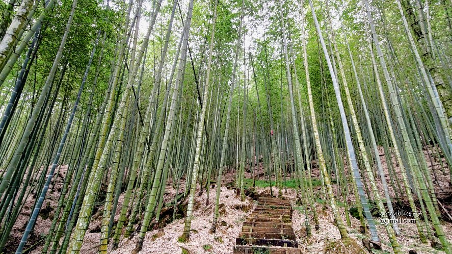 古坑嘉南雲峰.好望角.石壁山O形_1500441