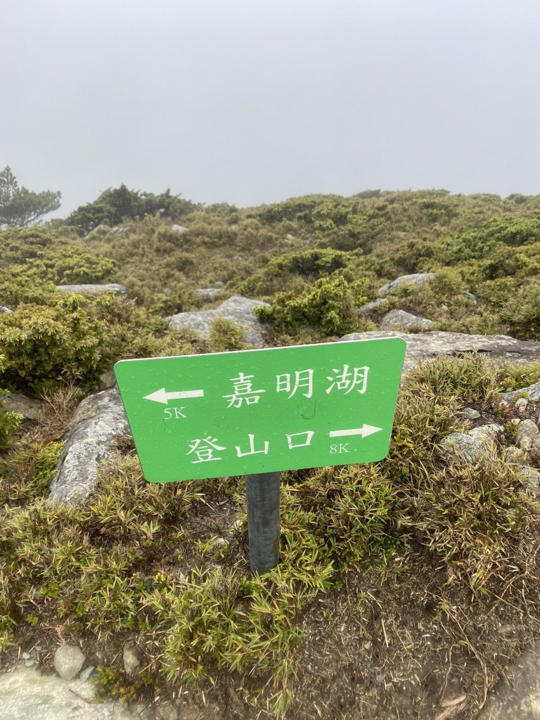 2022/06/02-2022/06/03(兩天一夜-嘉明湖/向陽山/三叉山)_1728603