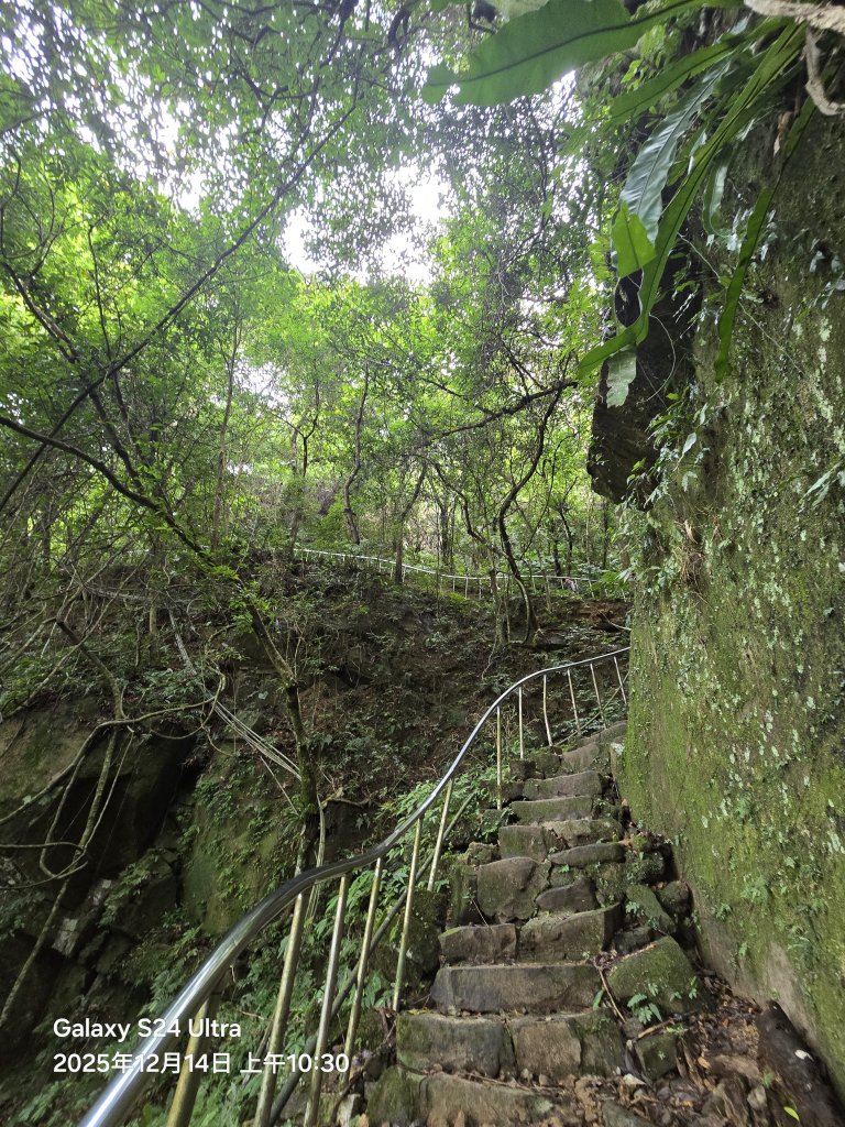 2025-12-14微笑山線：【二格山系】銀河洞越嶺段_2962153