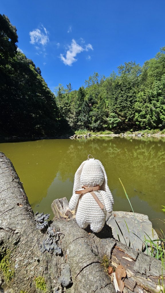 【被遺忘的南橫仙境】中之關、天池步道O繞10K_2798198
