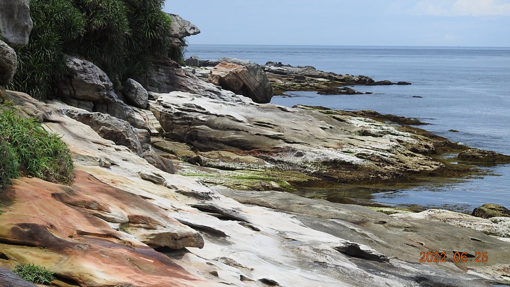 雲山水花鳥蝶-天龍國阿伯的日常6/25&26_1744216