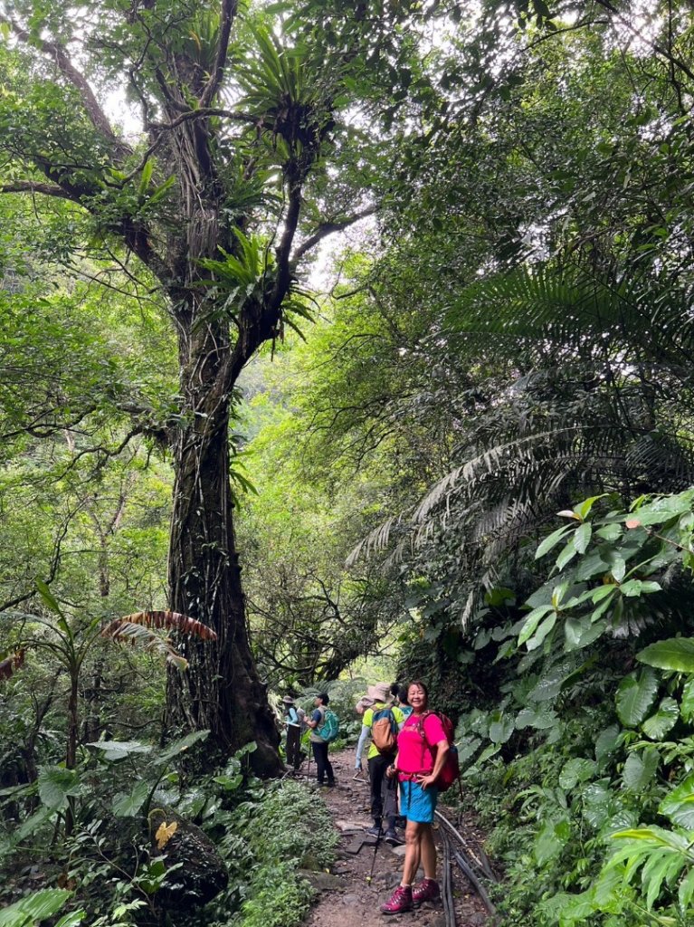 南坪古道、馬胎古道、合興車站_2240329