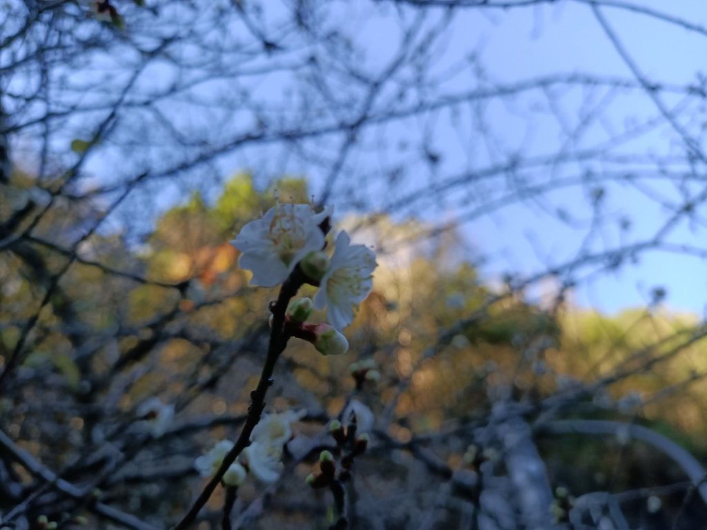 文山綠水封面圖