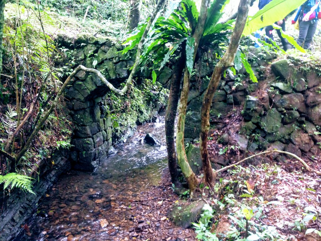 淡蘭古道中路【崩山坑-石空段】_640677