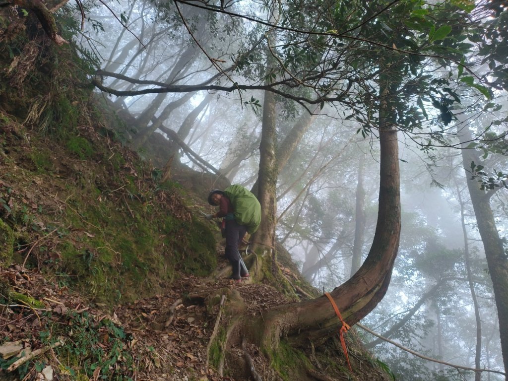 20240316 馬博8天縱走~第一天，東埔登山口到觀高工作站_2470734