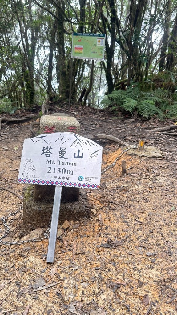 塔曼山封面圖