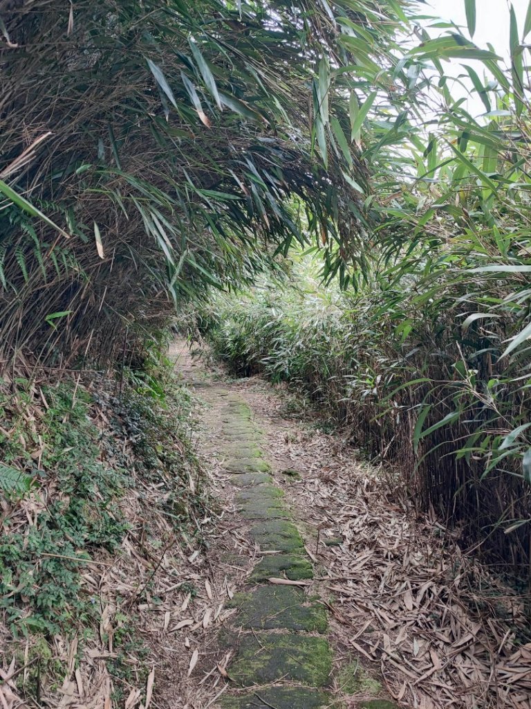 環七星山人車分道步道-百拉卡公路入口至冷水坑段 - 走遍陽明山尋寶任務_2255049