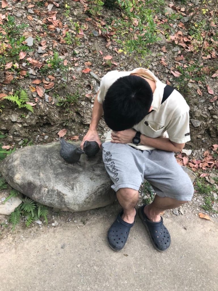 知本國家森林遊樂區午後一遊_305926