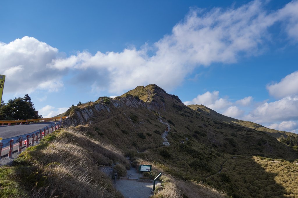 石門山金黃草原封面圖