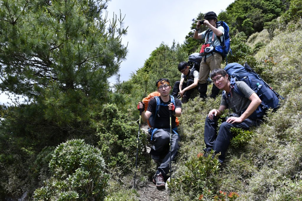 八通關上玉山_1025123