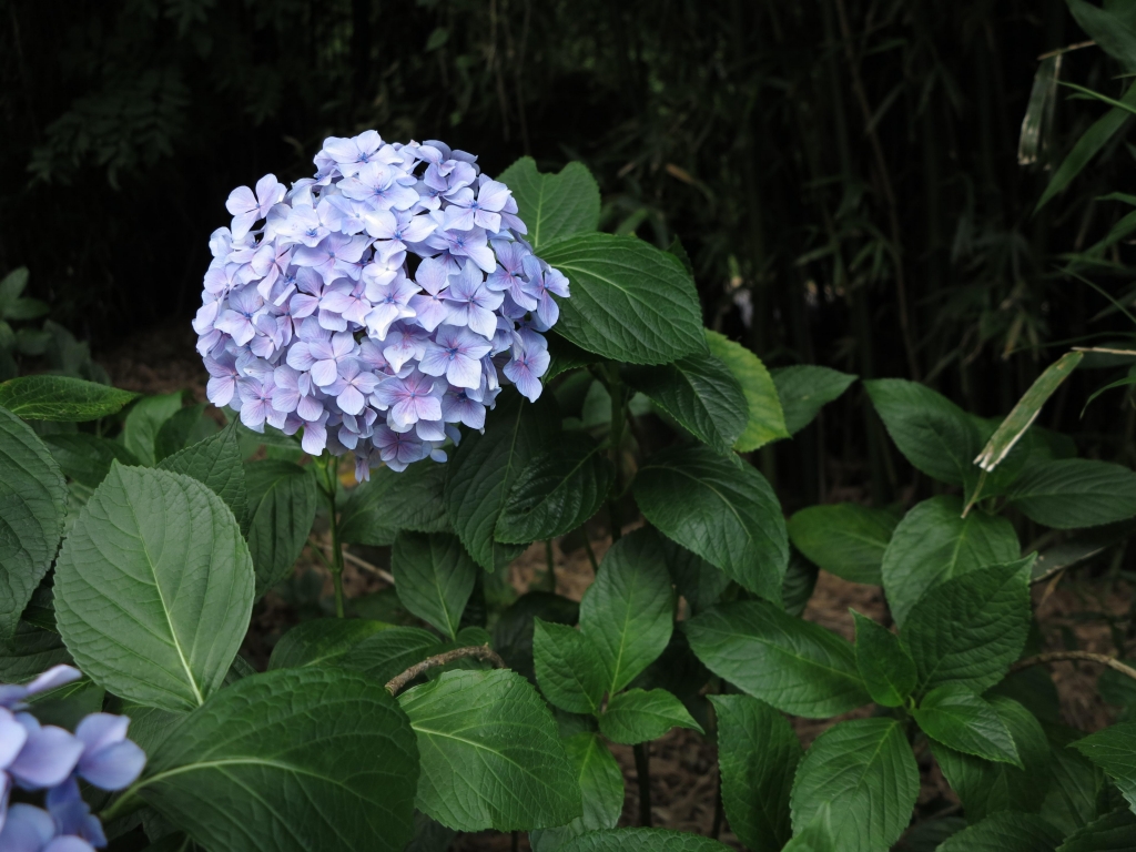 105.06.19-22 白沙山社雪山行_50658