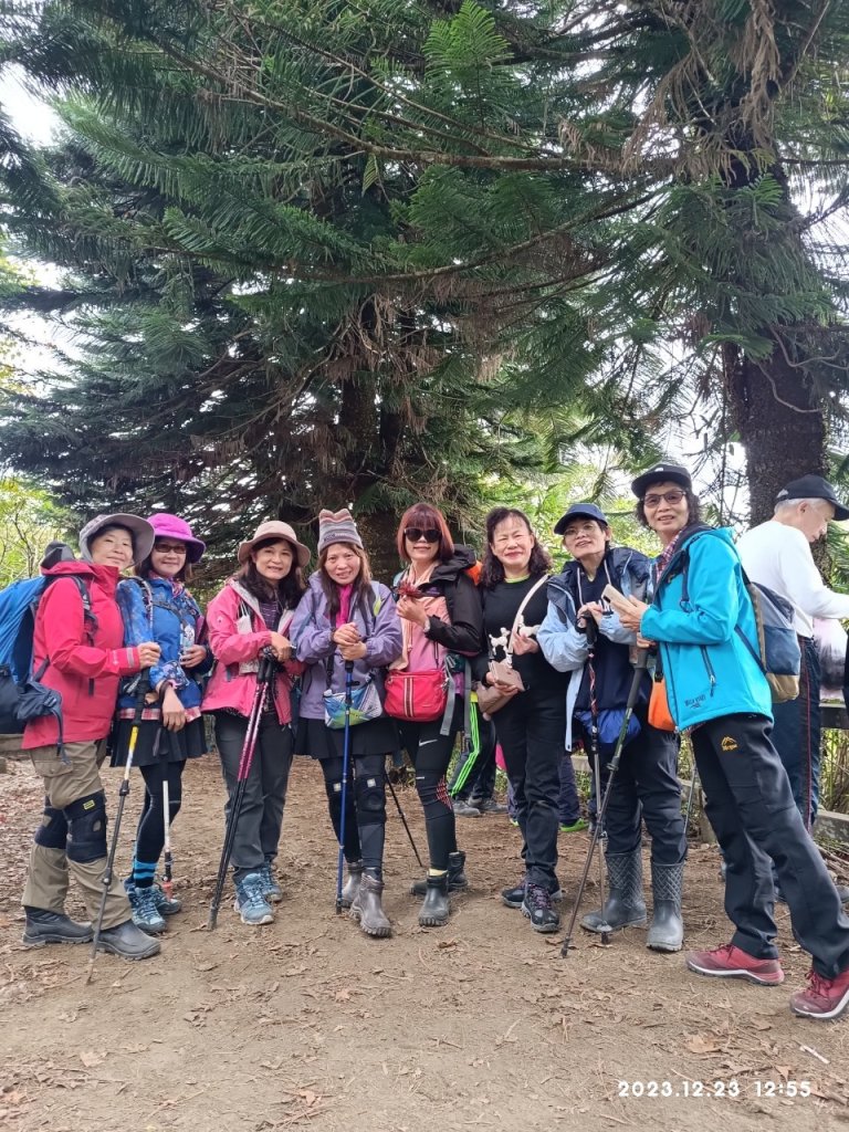 四訪苗栗的花果山-小百岳#037馬那邦山、雪霸國家公園管理處【小百岳集起來、苗栗-臺灣百大必訪步道】_2394267