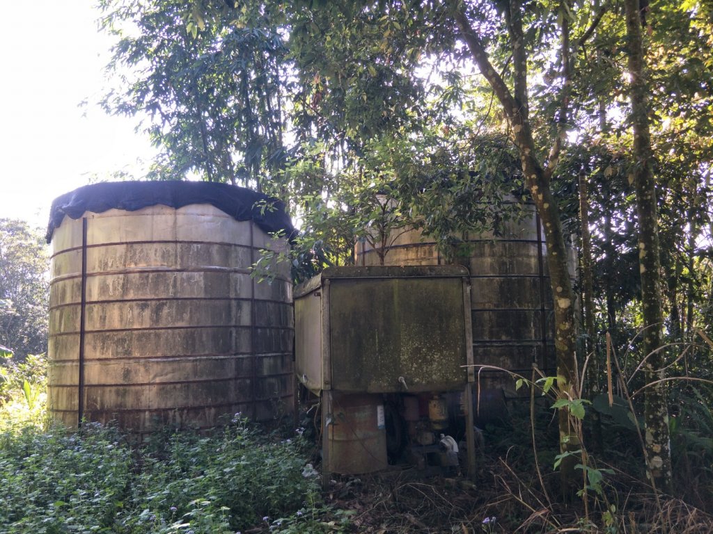 大埔大巃三角㸃歩道&凍子顶山_1451849