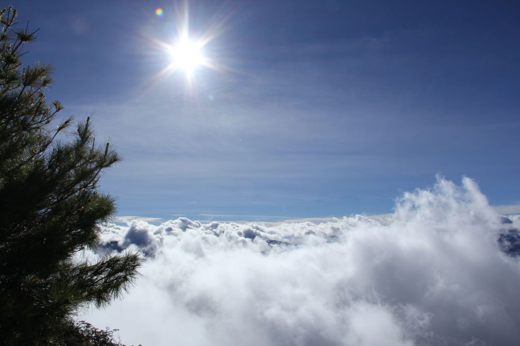 武陵四秀之桃山與池有山(單攻)_167165