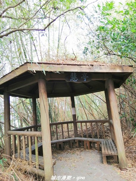 適合賞景健身親子型步道~鳳凰山觀音山步道_1244179