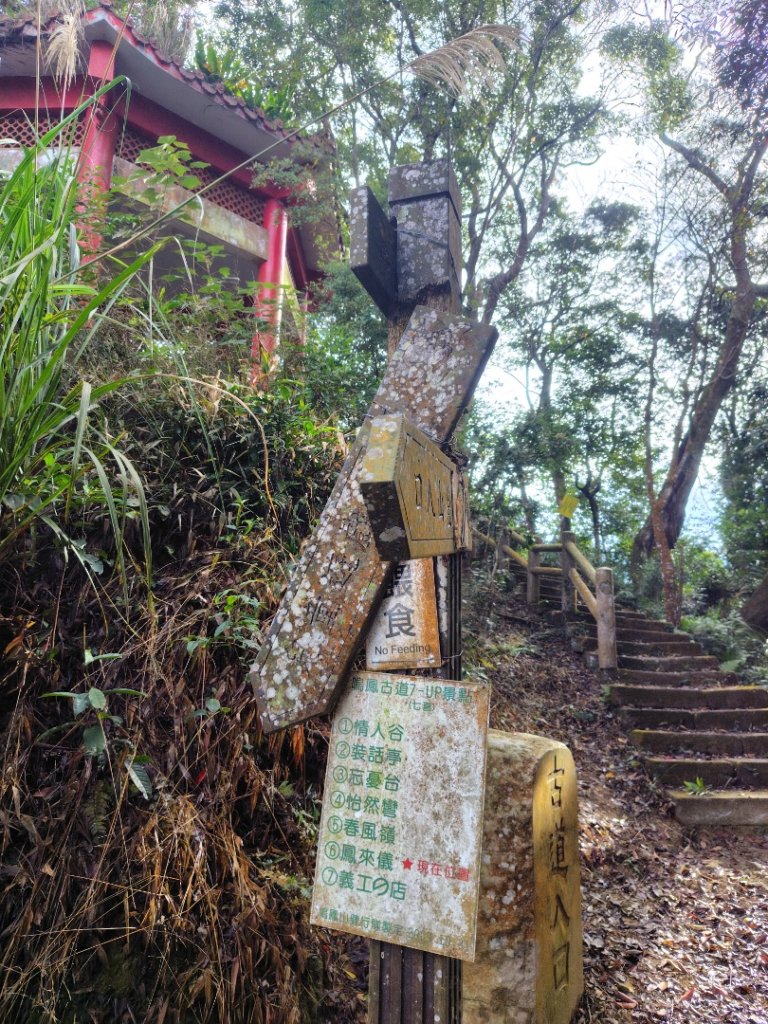 鳳鳴古道 鳳鳴山 南隘勇（南長城）古道 三湖山 八達嶺（龍骨）古道 綠色古道 延平古道_2975234