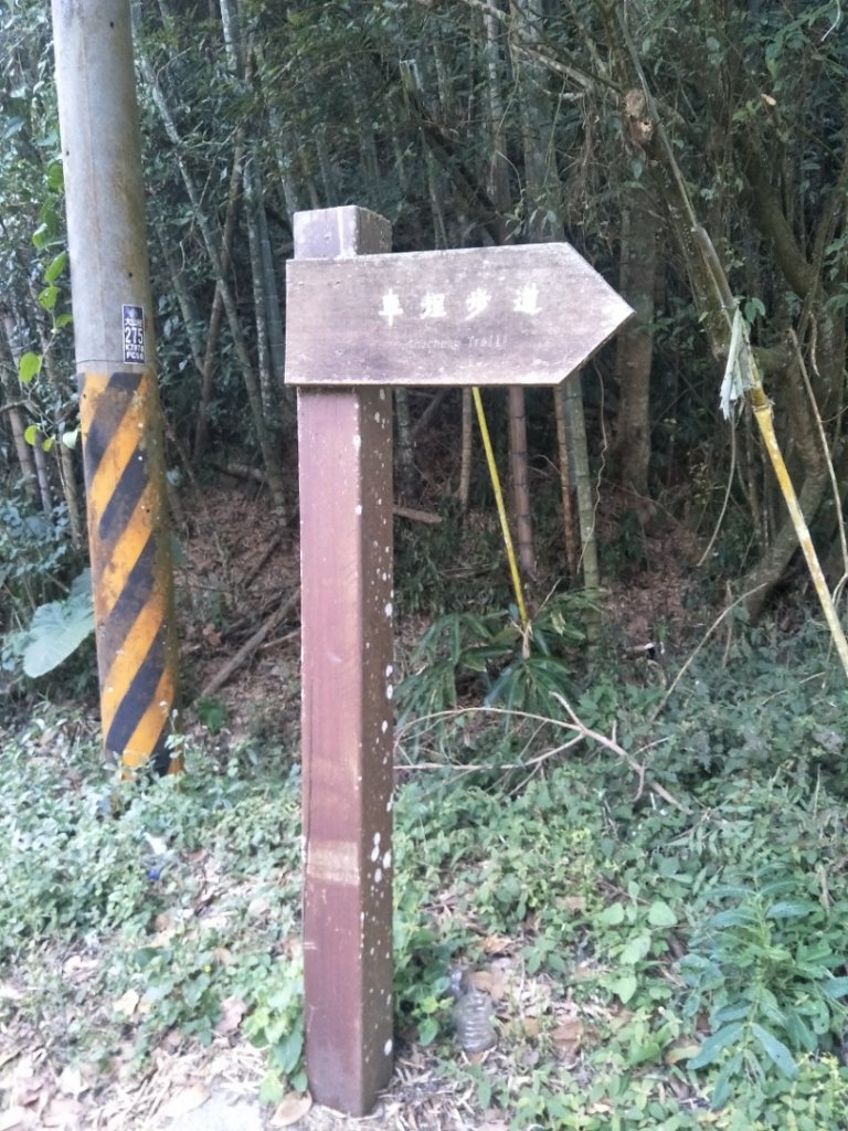 集集大山_2014022