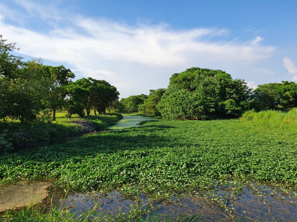 舊鐵橋天空步道_1065272