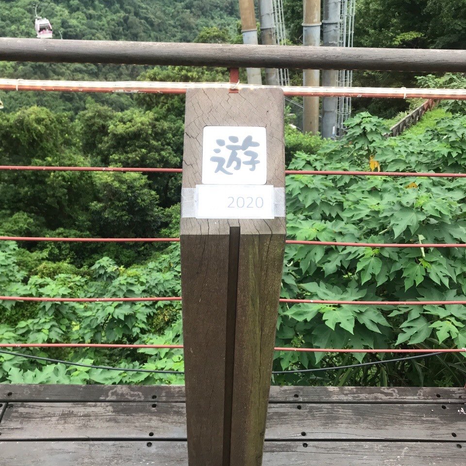 2020台北縱走第七段_995326