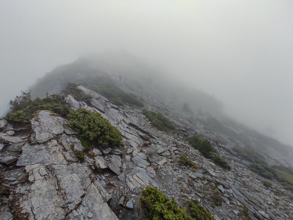 關山嶺山/南橫三星_1819010